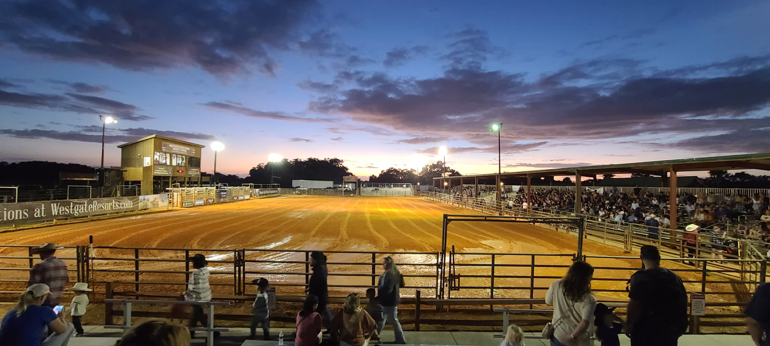 Saturday Night Rodeo